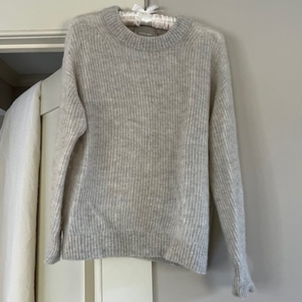 Everlane The Alpaca Crew